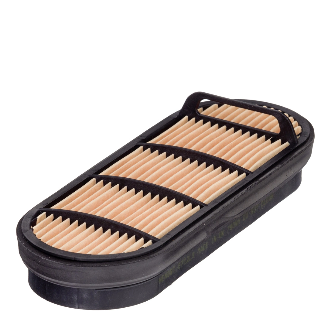Secondary Air Filter